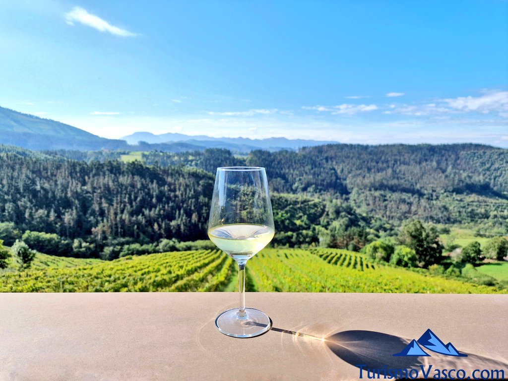 Visits to txakoli wineries near San Juan de Gaztelugatxe, Urdaibai